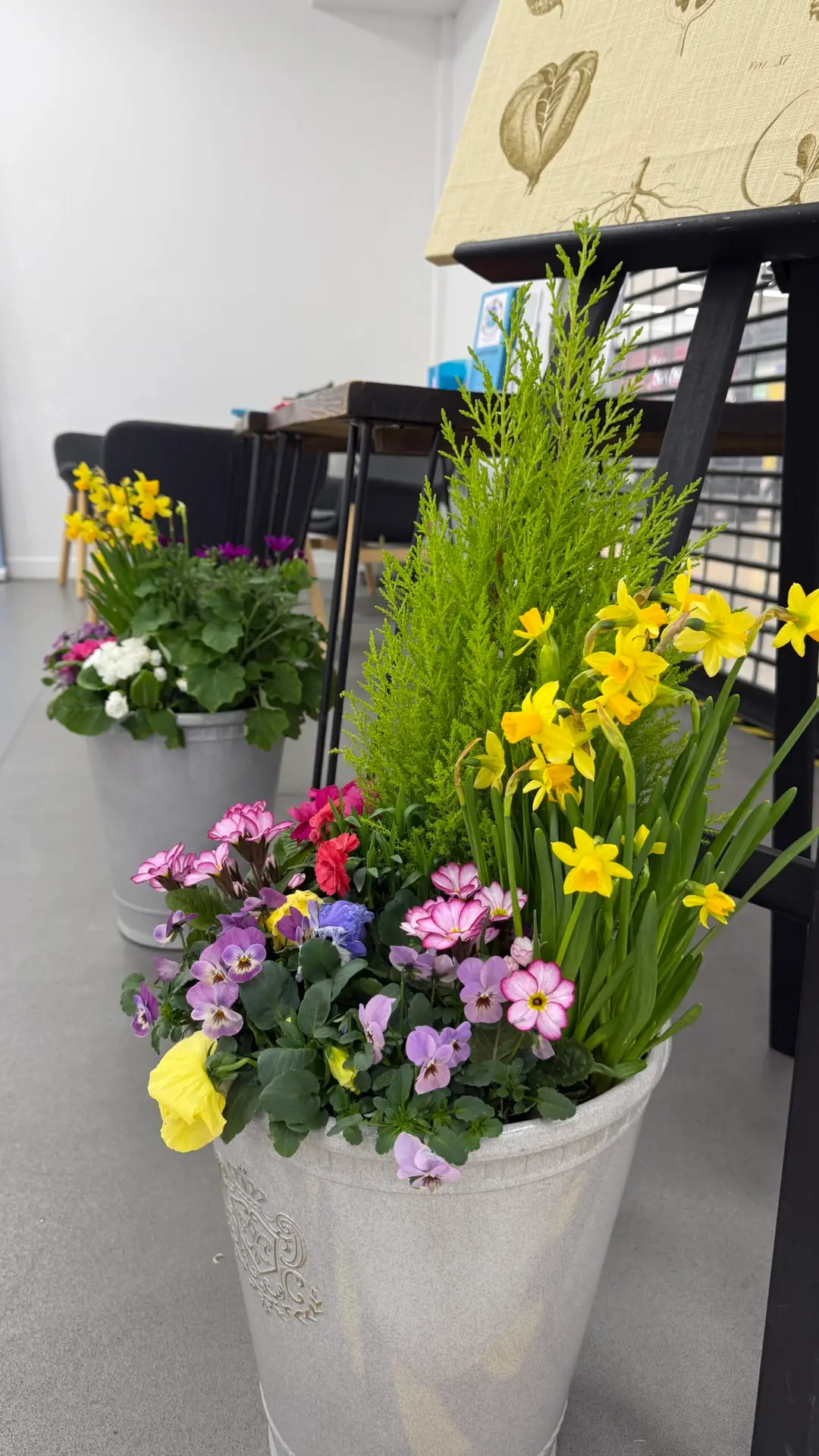 things to do in Poole in March